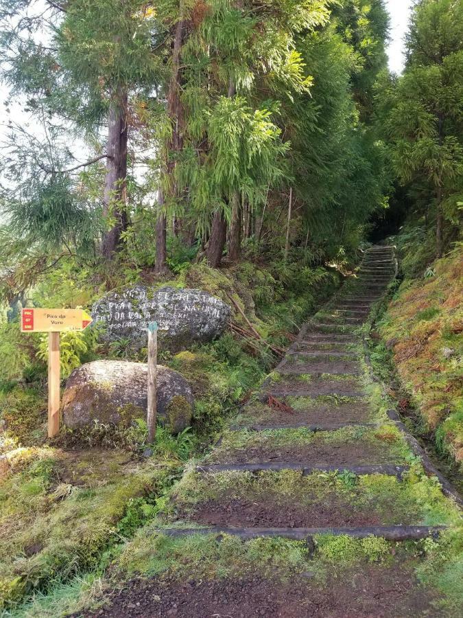 Casa Simba , Where The Fun Begins Ponta Delgada Exterior foto